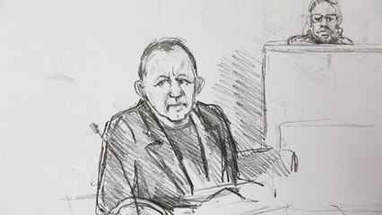 Perpétuité pour l'assassin de la journaliste suédoise Kim Wall