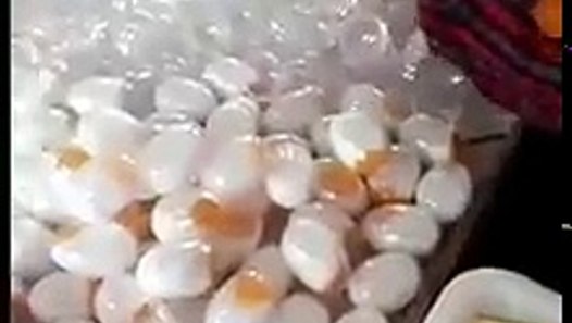 rüyada pişmiş kaz eti görmek