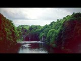 Entspannende Musik: Mit Naturgeräuschen, beruhigende entspannende Wasserfall Musik, Studium