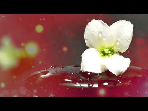 Zen Musik - Stress Relief, Innere Friedensmusik, Beruhigende Musik, Meditation Entspannende Musik