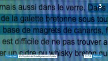 Traduction : l'efficacité de l'intelligence artificielle