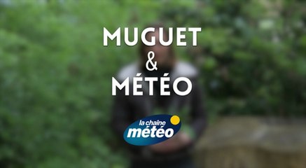 Muguet du 1er mai : l'influence de la météo