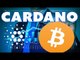 Notícias e Análise do Dia 01-12: Preço Bitcoin + Notícias Bitcoin - Notícias Possibilidade CARDANO