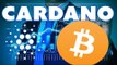 Notícias e Análise do Dia 01-12: Preço Bitcoin + Notícias Bitcoin - Notícias Possibilidade CARDANO