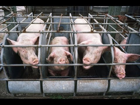 Notícias do Dia 16/01: Porque Mercado Criptomoedas Foi Massacrado? China Combate Criptomoedas