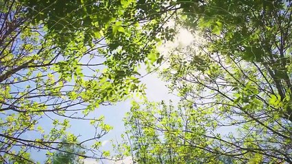 Tập 12 Đại Thoại Tây Du  Mối Tình Vạn Năm-A Chinese Odyssey: Love of Eternity (2017) thuyết minh full hd