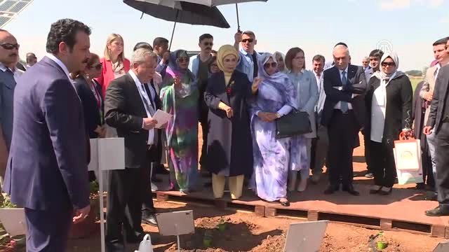3. Yerel Tohum Buluşmaları Şanlıurfa Etkinliği - Emine Erdoğan, Fidan Dikti
