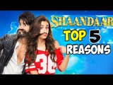 Shaandaar Movie (2015) | Shahid Kapoor, Alia Bhatt | Top Reasons To Watch