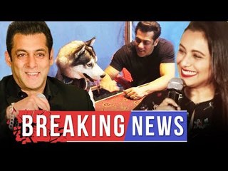 रानी मुकर्जी ने खोले सलमान के राज़ | सलमान को क्यू है जानवरो से प्यार
