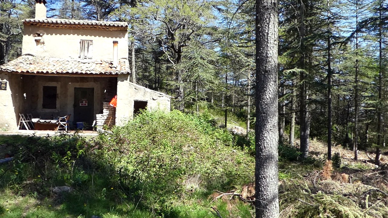 REPAS CAILLES AU BASTIDON