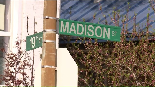 Family Pleads for Safe Return of Yorkshire Terrier Stolen from Backyard