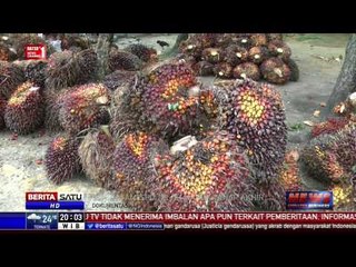 Standarisasi Produksi Minyak Sawit Indonesia