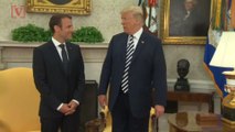 Head & Shoulders Sends Anti-Dandruff Shampoo to French Embassy After Trump-Macron Moment