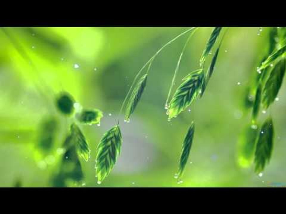 Música de piano clásico para el estudio y la concentración, el estudio de la música ♫♫♫