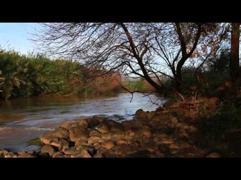 Relajante música con sonidos de la naturaleza: meditación matutina, sonido de pájaro