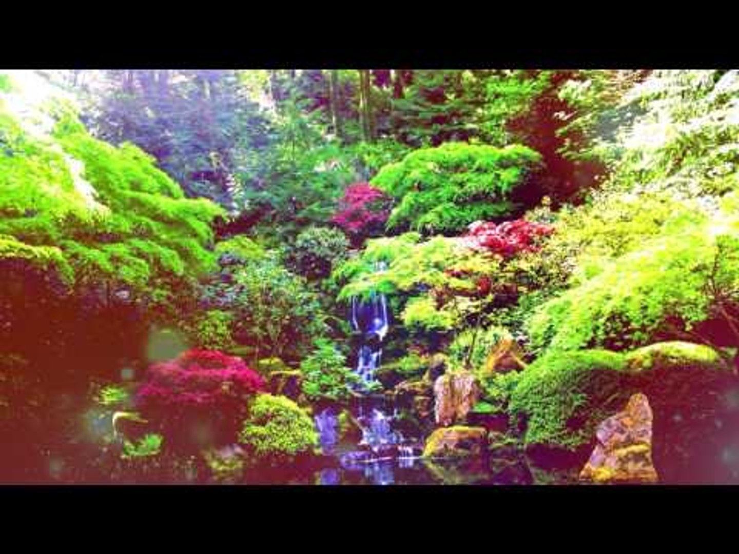 Música calmante relajante - paz interior, bosque Relaje música, música de la meditación