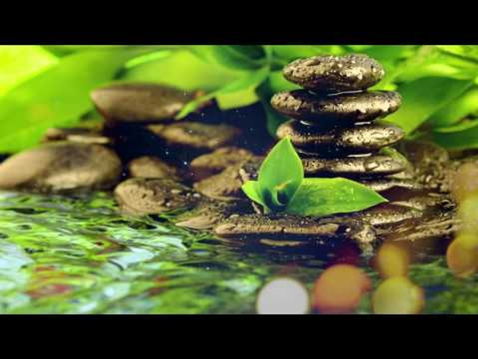 Zen Music - Stress Relief Música, Música Espiritual, Meditación, Anti-Stress, Positive Energy Music