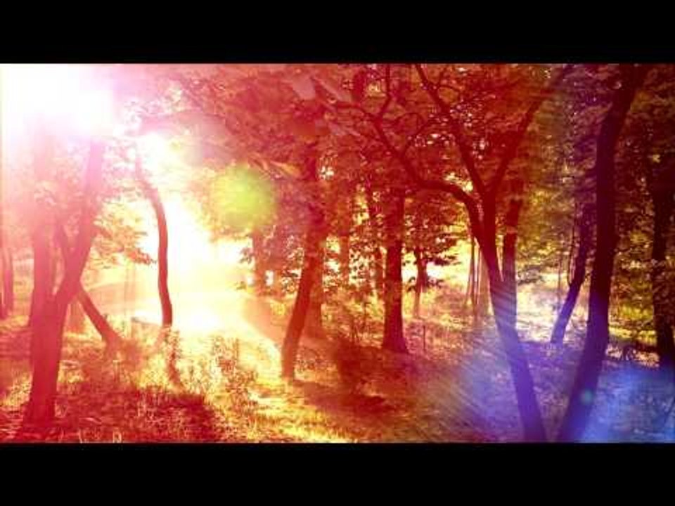 3O Mins Of Healing Meditation Música: Música relajante, Música calmante, Música relajante