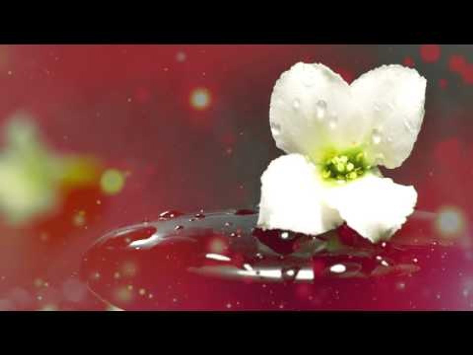 Zen Music - Alivio de estrés, Música de paz interior, Música relajante, Meditación Relax Music