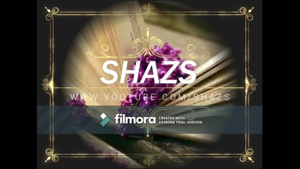 Pakistan's richest man | washing dishes | SHAZS