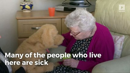 This Adorable Robotic Dog Cares for the Elderly
