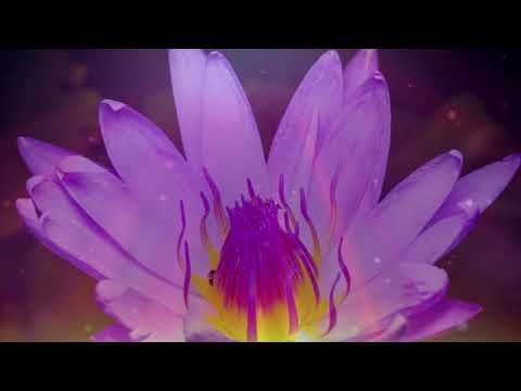 Tranquilo y pacífico Sunset Music, relajante música instrumental para piano - Relax Meditation Club