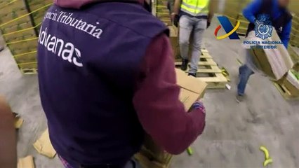 Incautación récord en España de cocaína proveniente de Colombia