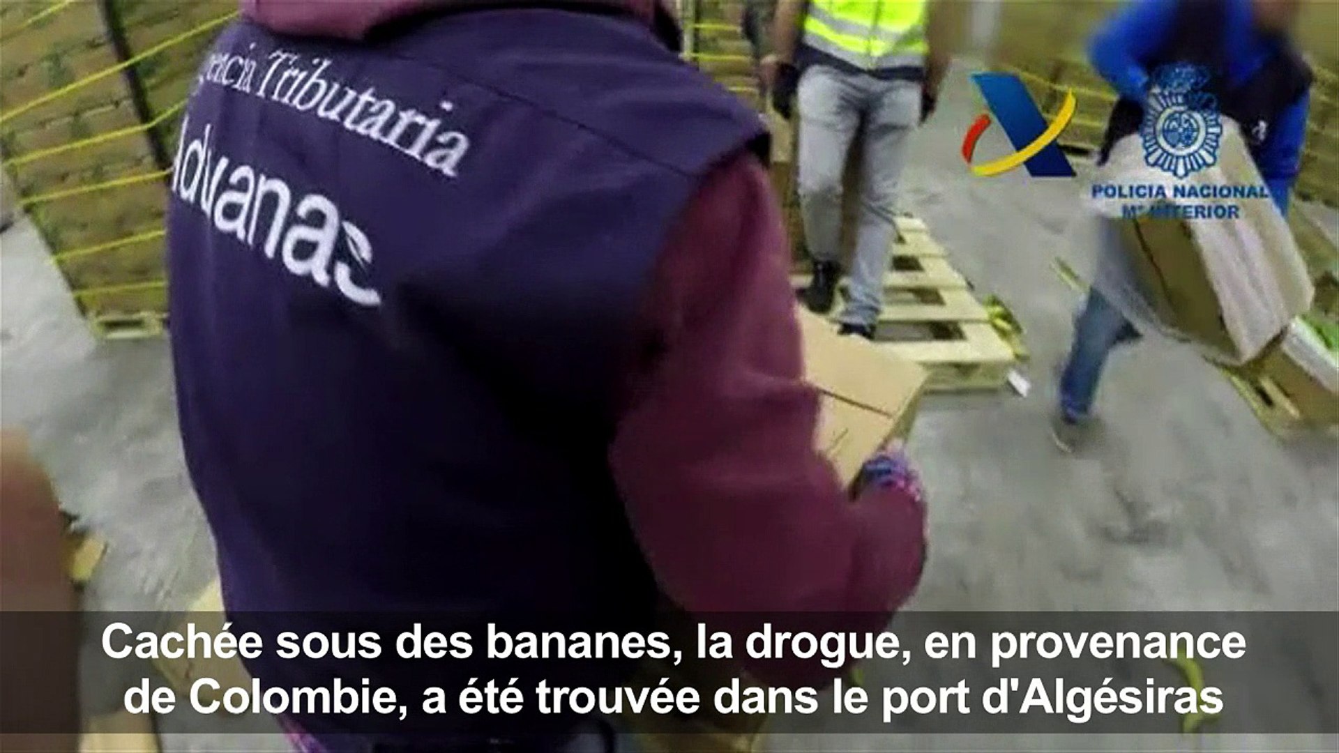 Espagne: saisie record de 8,7 tonnes de cocaïne de Colombie - Vidéo  Dailymotion