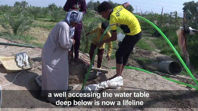 Drought tightens its grip in southern Iraq