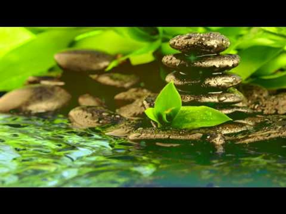 Zen Meditation Música: Relajación Zen Music, Relax Música para la Paz Interior, Calming Music