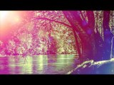 Relajante música suave para dormir y estudiar larga lista de reproducción - Relaxing Soothing Music