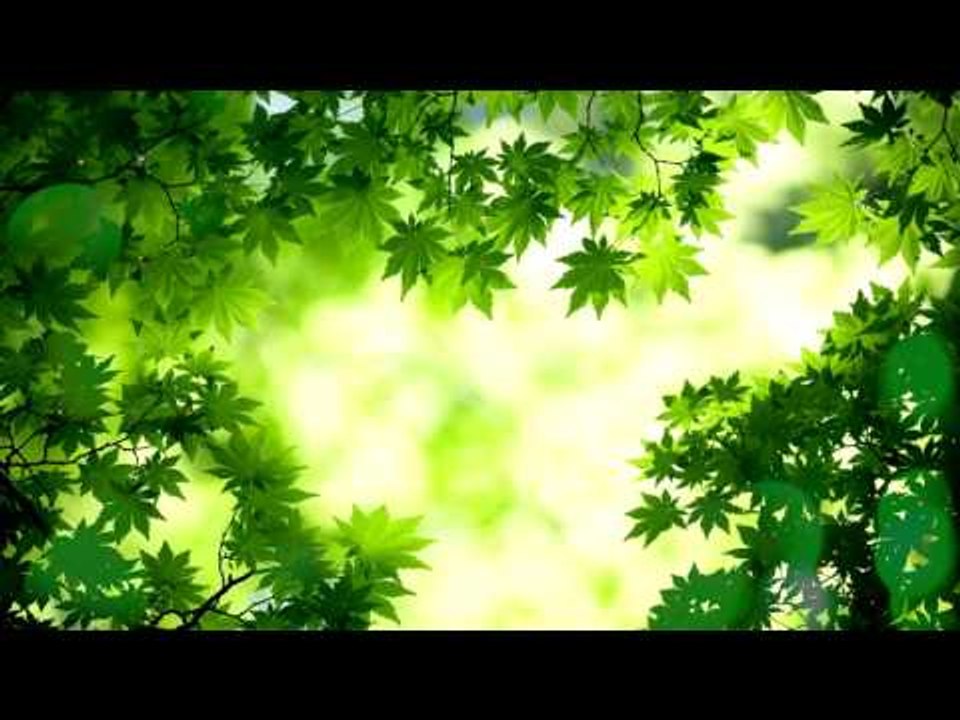 Soft, Meditation Deep Sleep Música: Inner Peace Música, Música relajante, Música para dormir