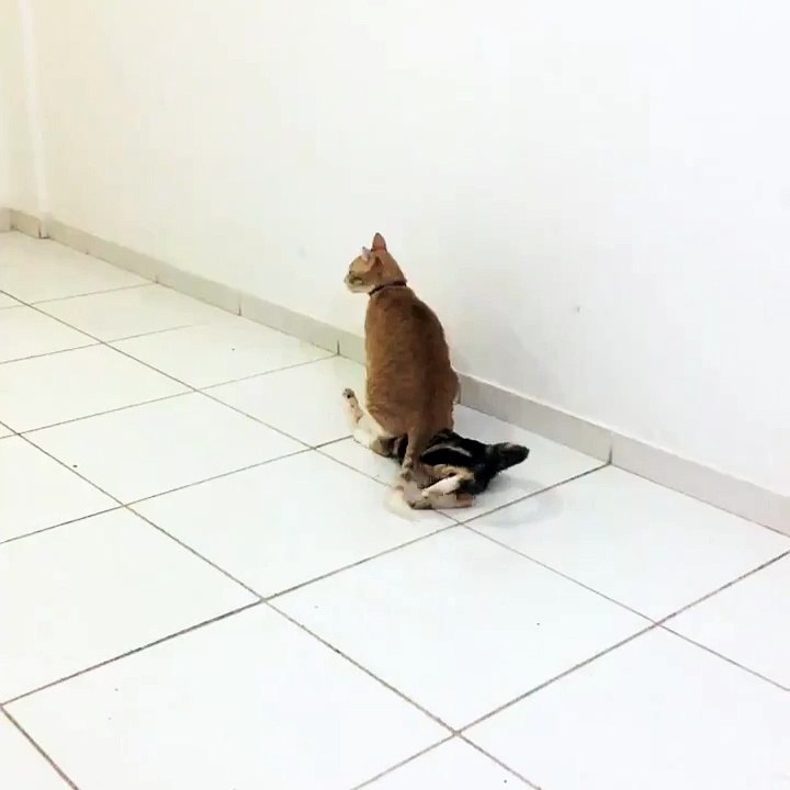 Do You Mind If I Sit Here