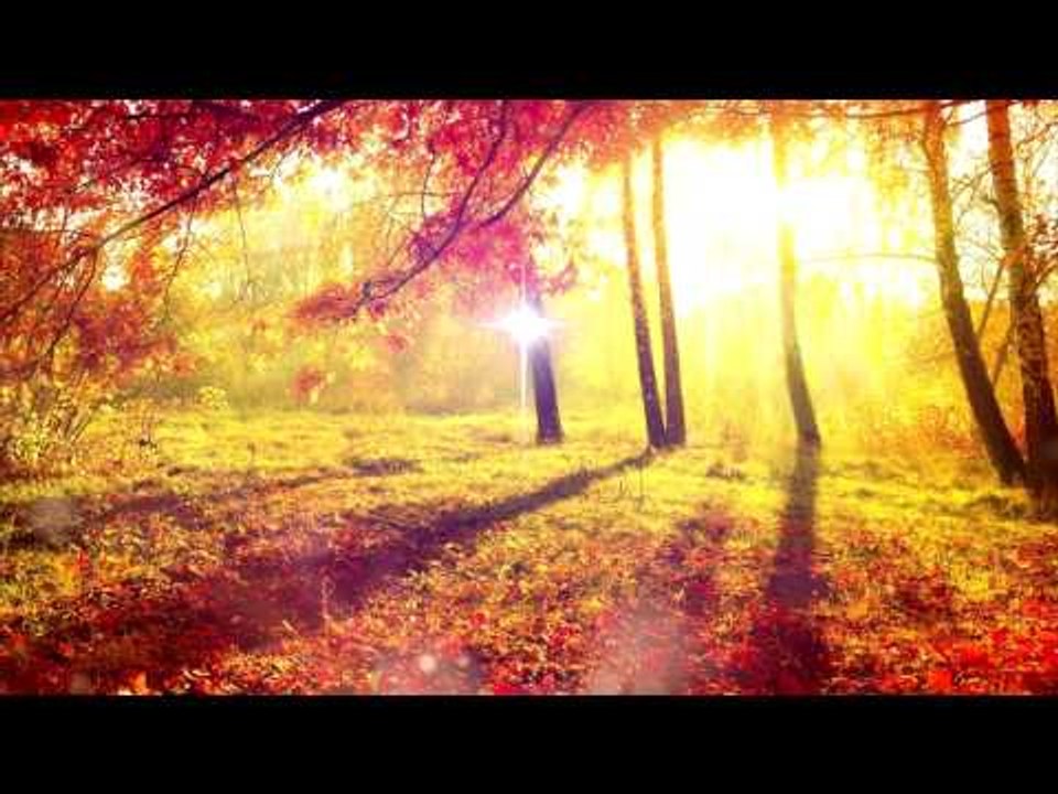 1 HOUR - Meditation Relax Música, Sonidos Naturales, Música Relax, Música Positiva, Soft Relax Music