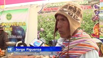 Productores peruanos celebran Festival de la Patata Nativa