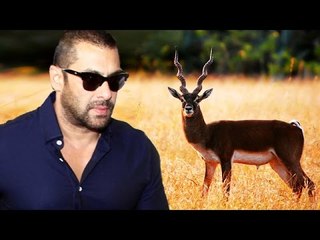 Salman Khan To Save Endangered BLACK BUCKS Now
