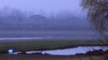 Hunan, China, paraíso invernal de aves migratorias