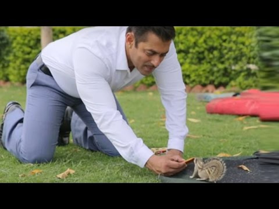 Salman Khan Feeds Squirrel On The Sets Of Prem Ratan Dhan Payo