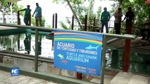 Panamá establece nuevas áreas marinas protegidas