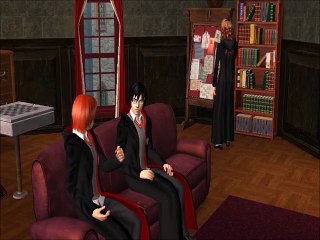 harry potter and the Order of Phoenix  chapter 12 sims 2