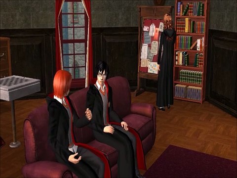 harry potter and the Order of Phoenix chapter 12 sims 2