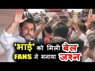 सलमान को मिली बैल , फैन ने मनाया जश्न | काला हिरन केस