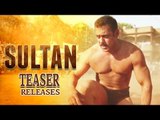 Sultan TEASER Out | Salman Khan, Anushka Sharma