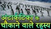 अंटार्कटिका के चौकाने वाले रहस्य | Amazing Facts