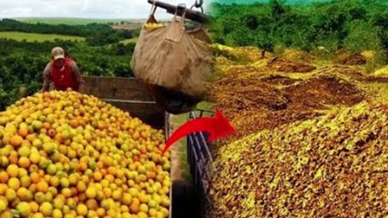 قاموا برمي 12000 طن من قشور البرتقال في احدى الغابات "كيف اصبحت بعد 20 سنة" !