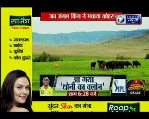 जंगल युद्ध: जंगल में पेट के भूख के लिए सबसे बड़ी जंग