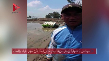 مهندس بالدقهلية يبتكر طريقة جديدة لزراعة الأرز توفر المياه والعمالة