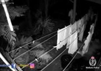 What The? Thief Removes Items From Clothesline in Midnight Break-In