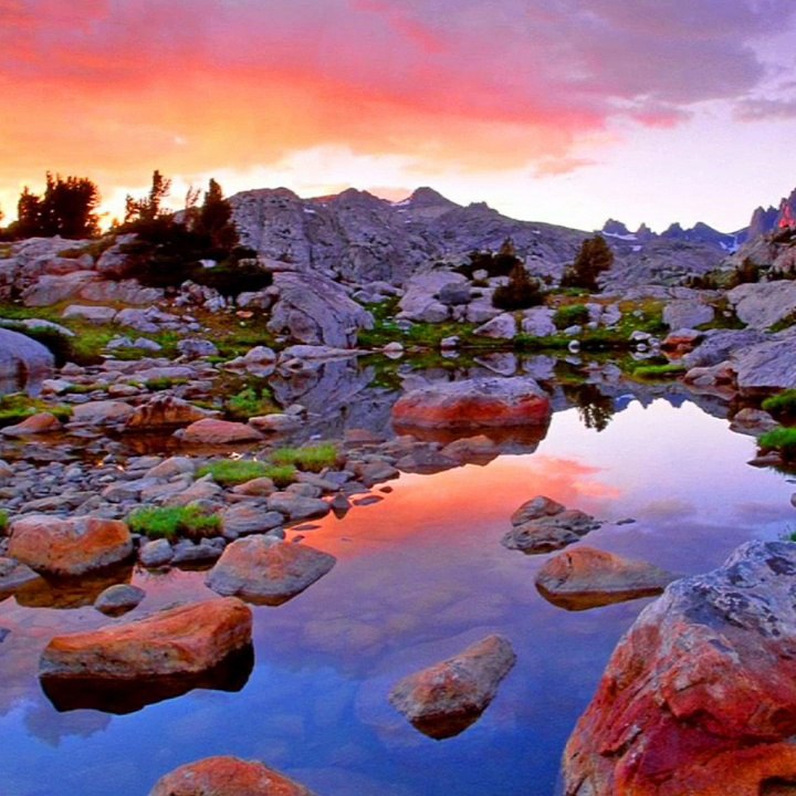 Beautiful Nature