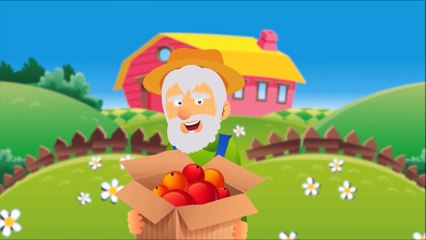 Old Macdonald Babies Funny story with puffy pig ! Nursery Rhymes Popular KIDS Songs